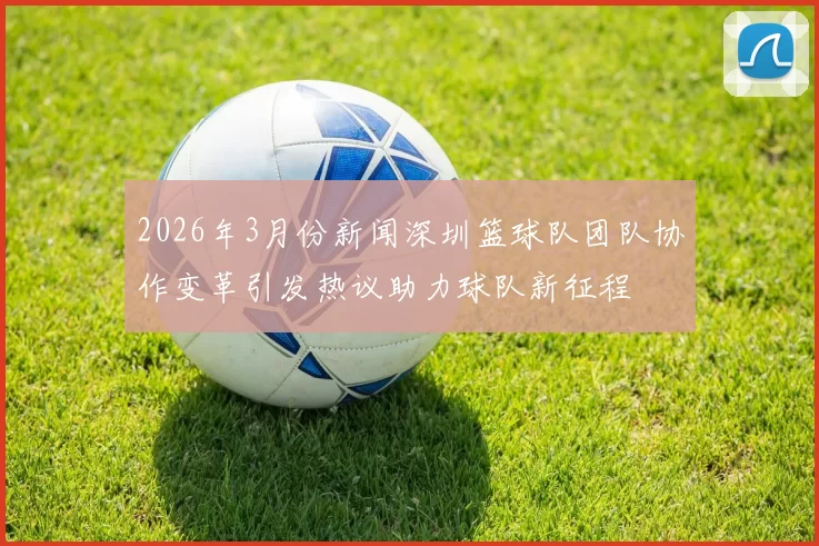 2026年3月份新闻深圳篮球队团队协作变革引发热议助力球队新征程